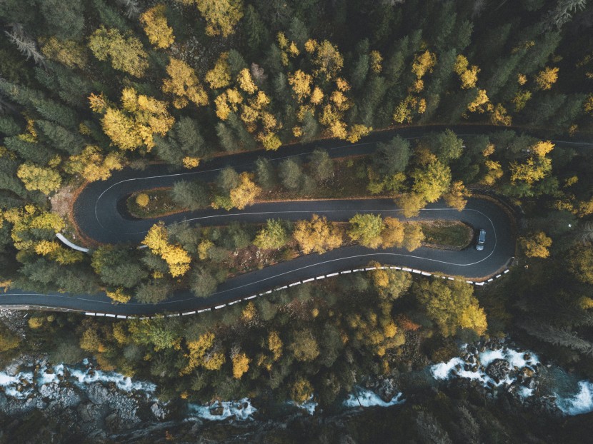 森林中蜿蜒的公路航拍图片