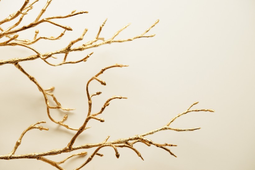 金色的树枝素材图片