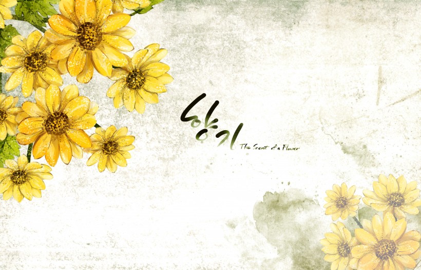 明亮黄色韩国花朵背景图片