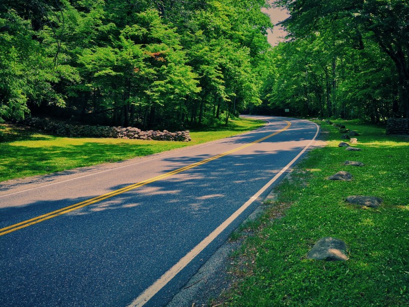 盘旋蜿蜒的公路图片