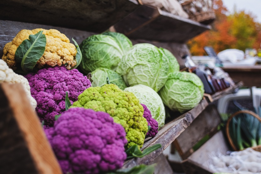 美丽的紫色花椰菜图片