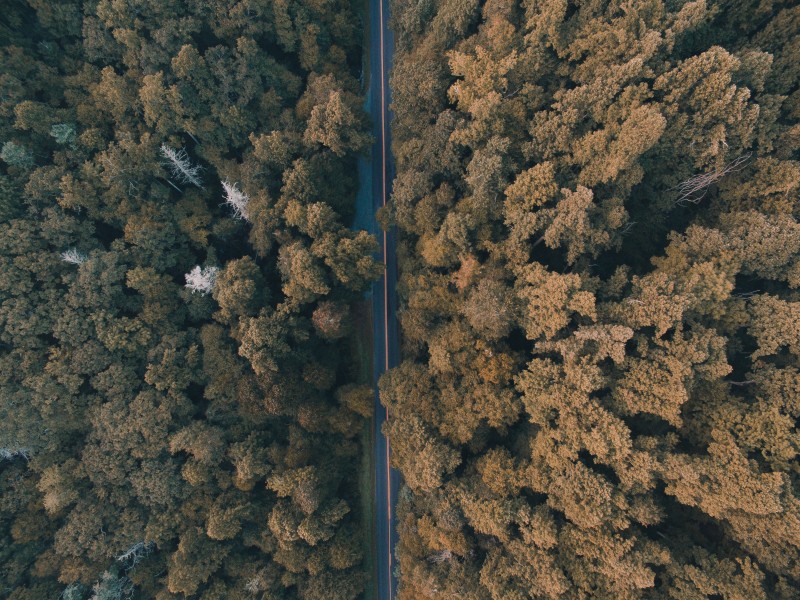 笔直的公路图片