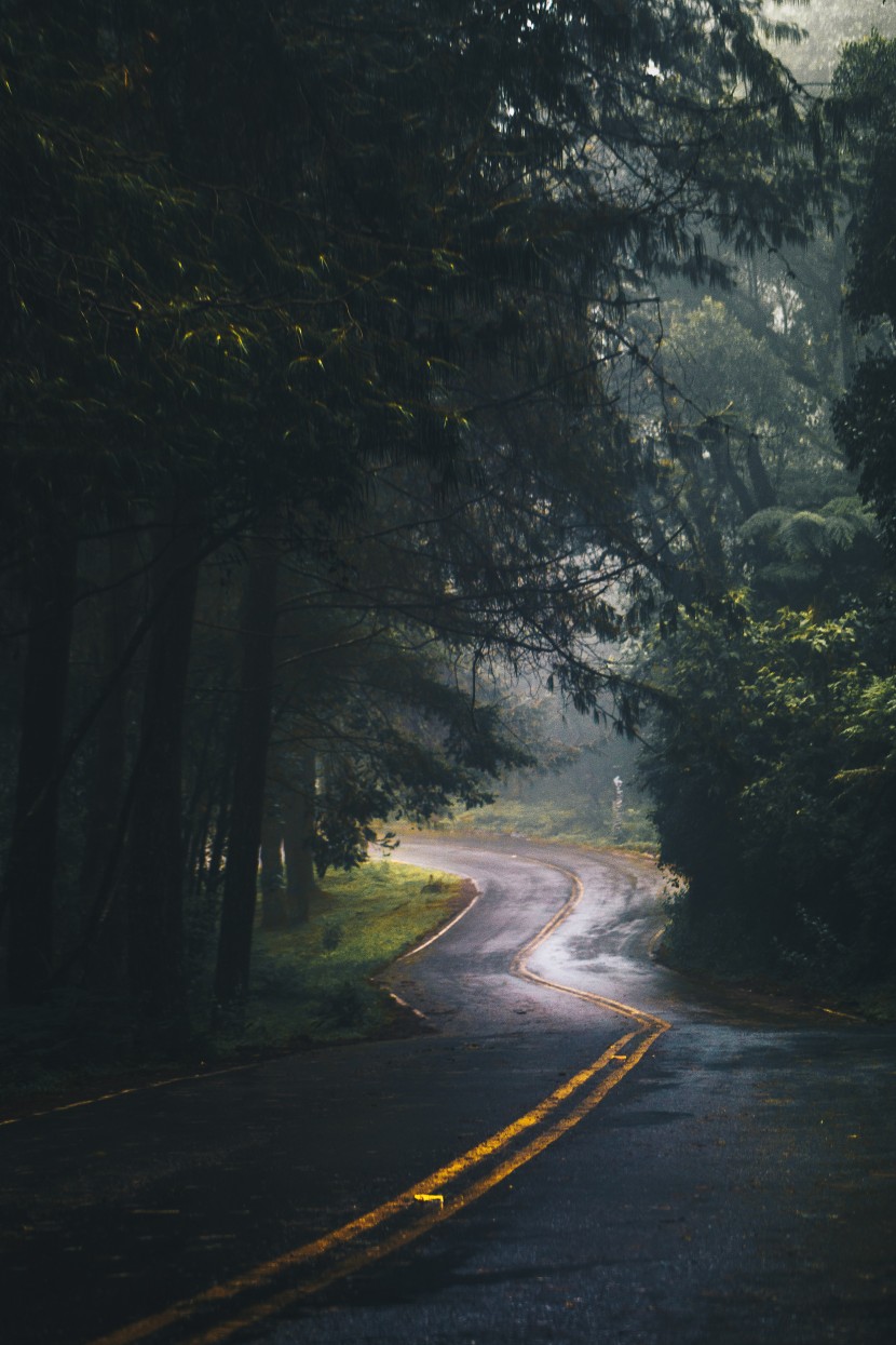 濕漉漉的雨后公路圖片