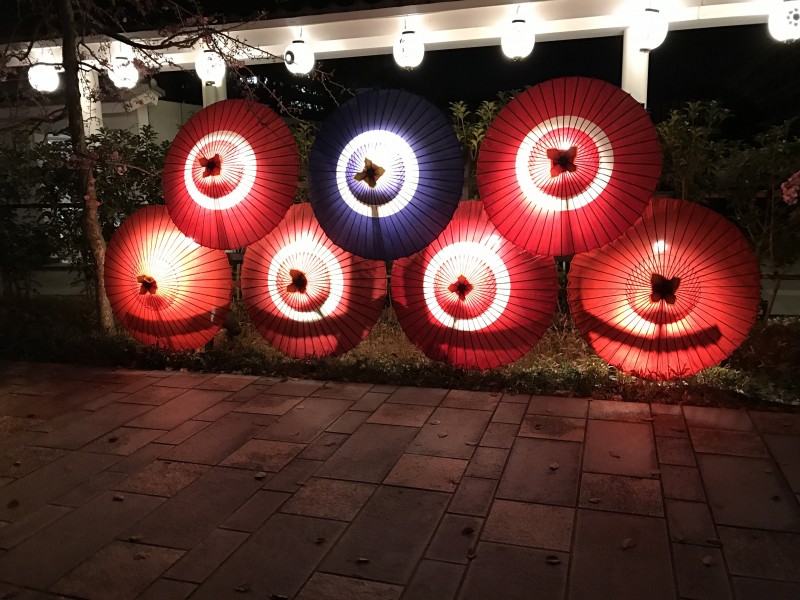 富有藝術(shù)感的日本和傘圖片