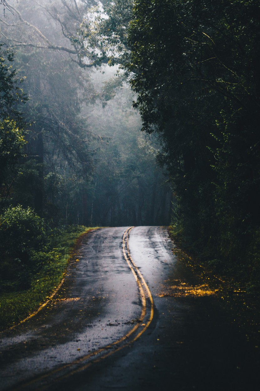 濕漉漉的雨后公路圖片