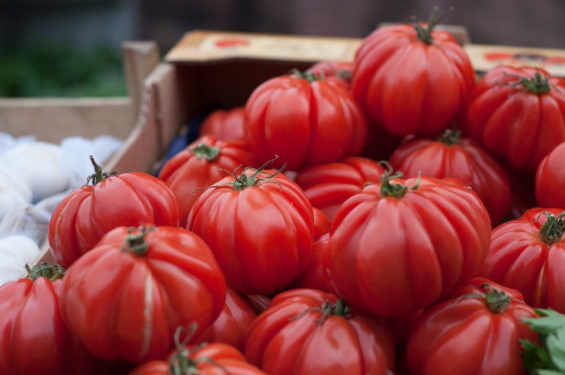 营养丰富的红色番茄图片