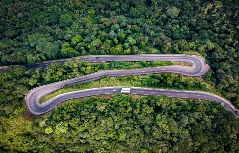 森林中蜿蜒的公路航拍图片