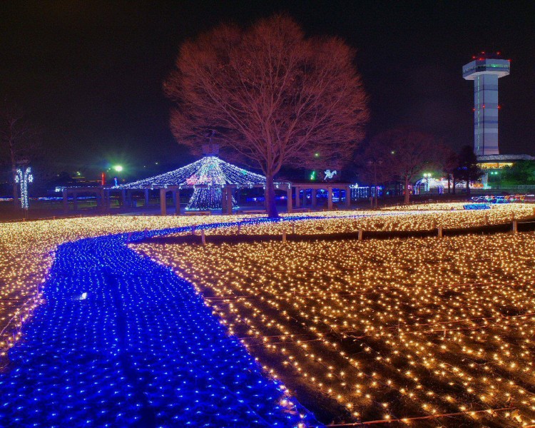 圣诞之夜图片