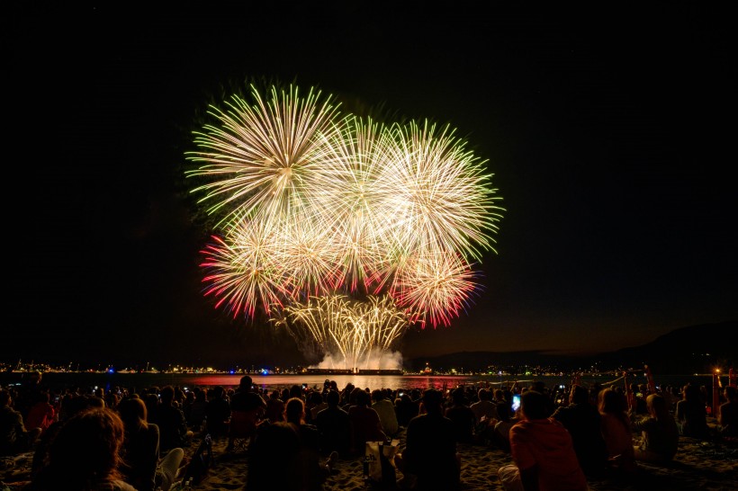 夜空中唯美璀璨的煙花圖片