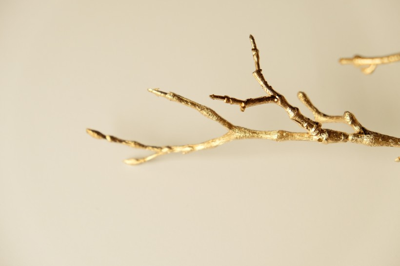金色的树枝素材图片
