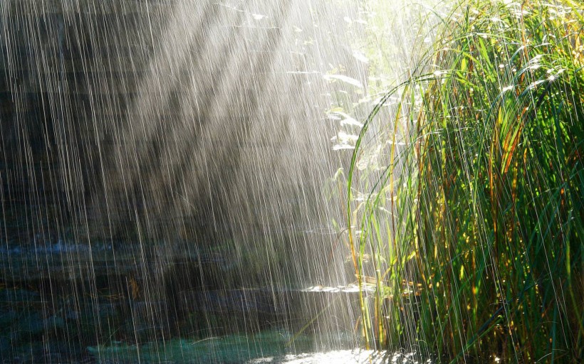 雨天风景图片