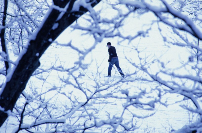 滑雪运动图片