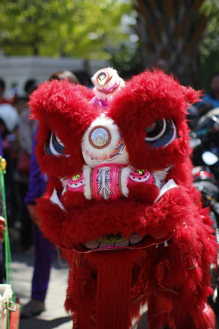 喜庆的节日舞狮图片