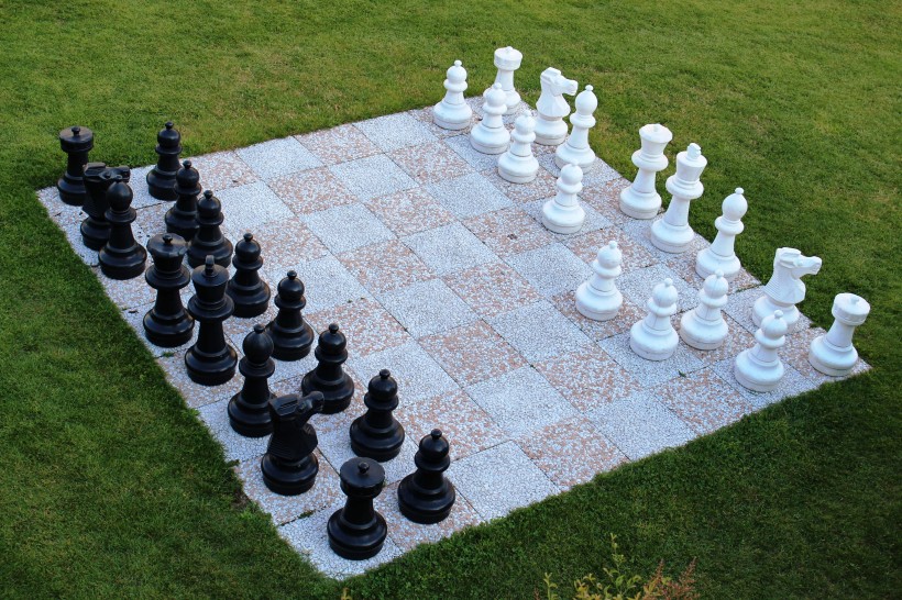 有趣的国际象棋图片 