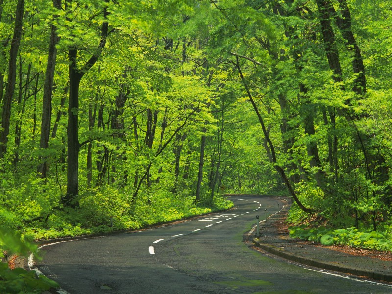 道路图片