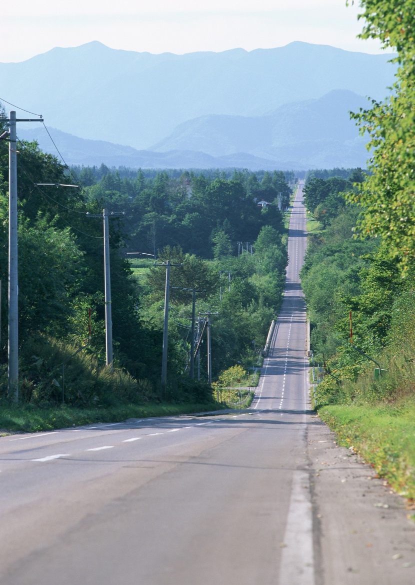 道路景观图片