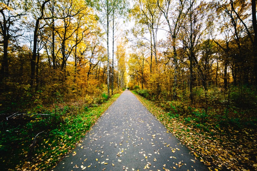 唯美的公路图片