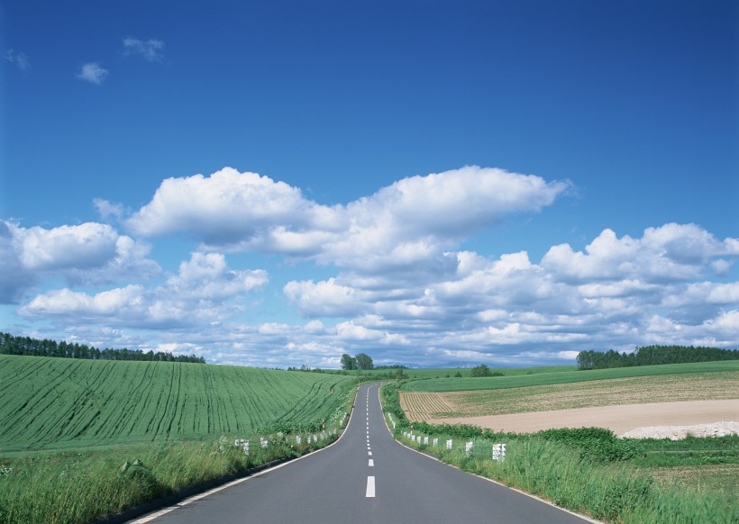 道路景观图片