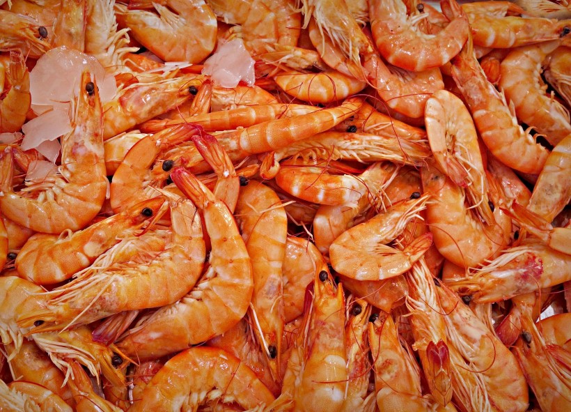各种做法开胃的大虾图片