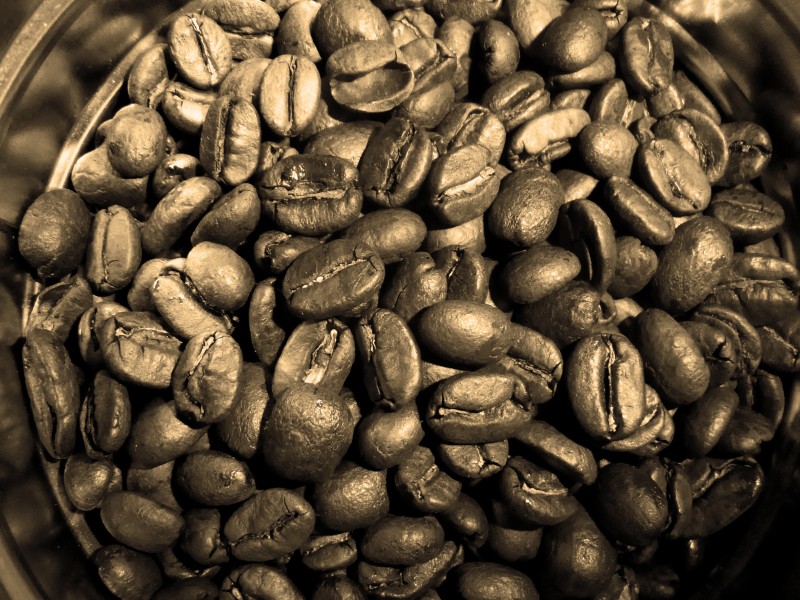 饱满的咖啡豆图片