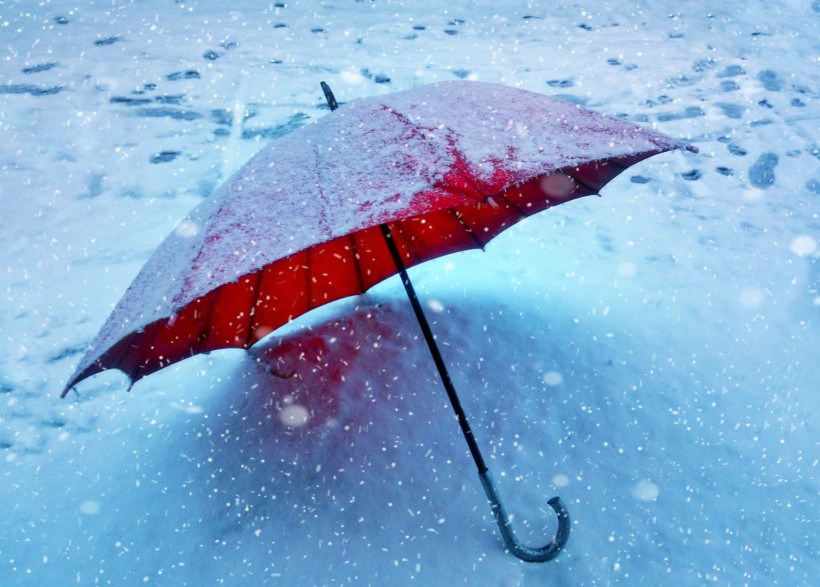 各式各样的雨伞图片