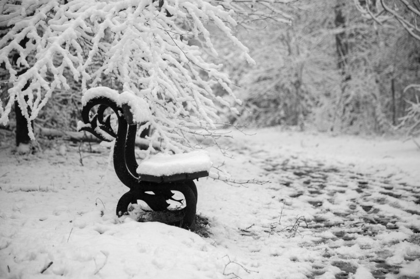 雪后公园长椅图片