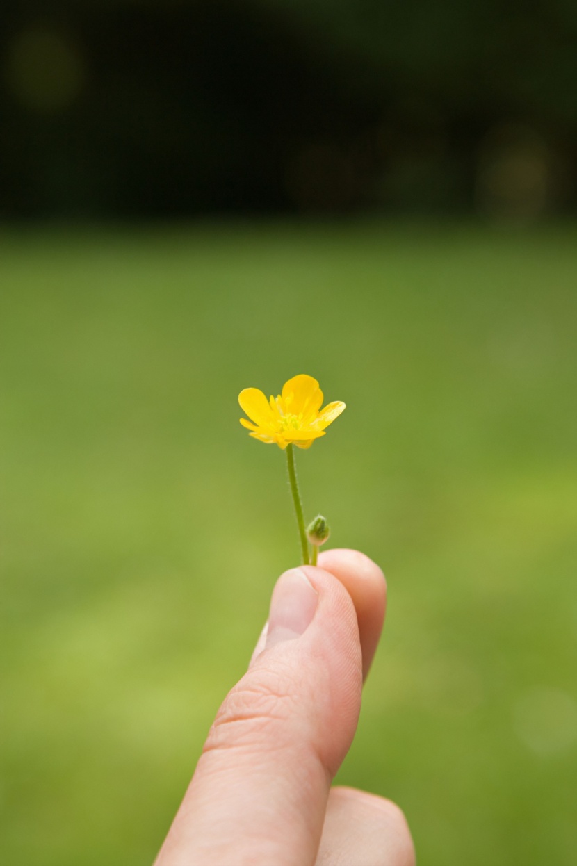 夏季符號圖片