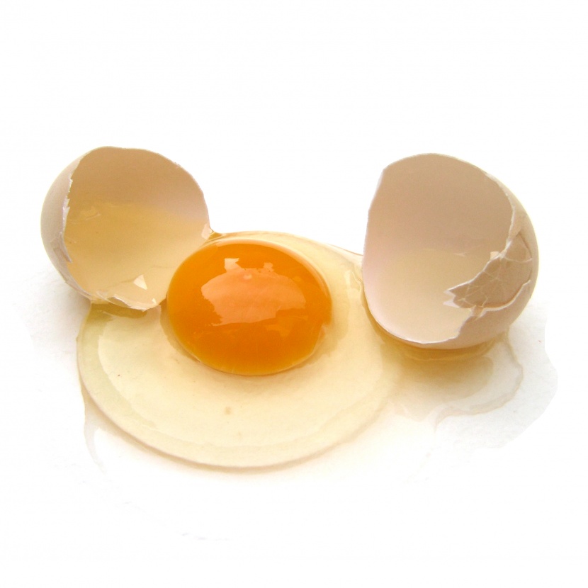 打破鸡蛋露出蛋清蛋黄图片