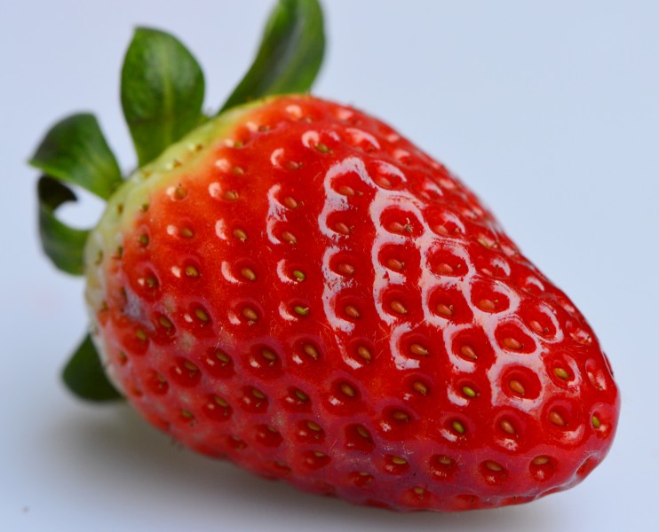 一颗熟透的草莓图片