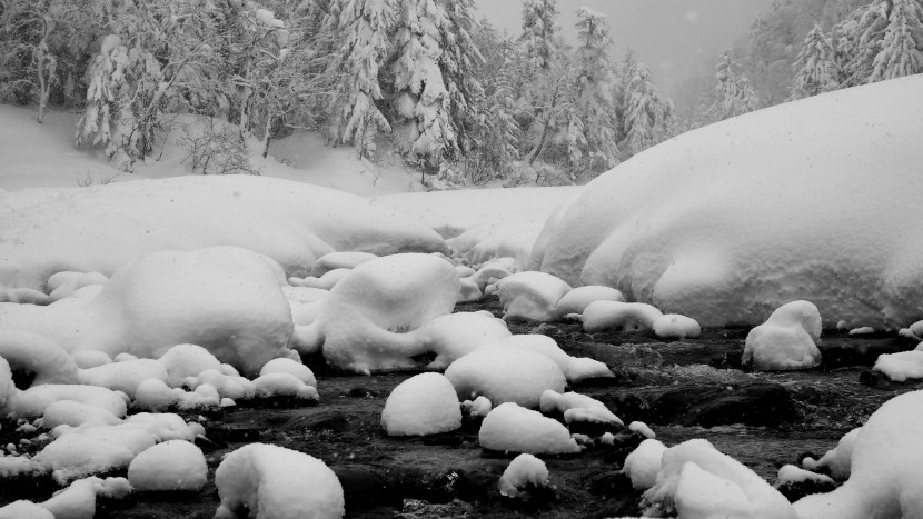 冬季冰雪下的河流图片