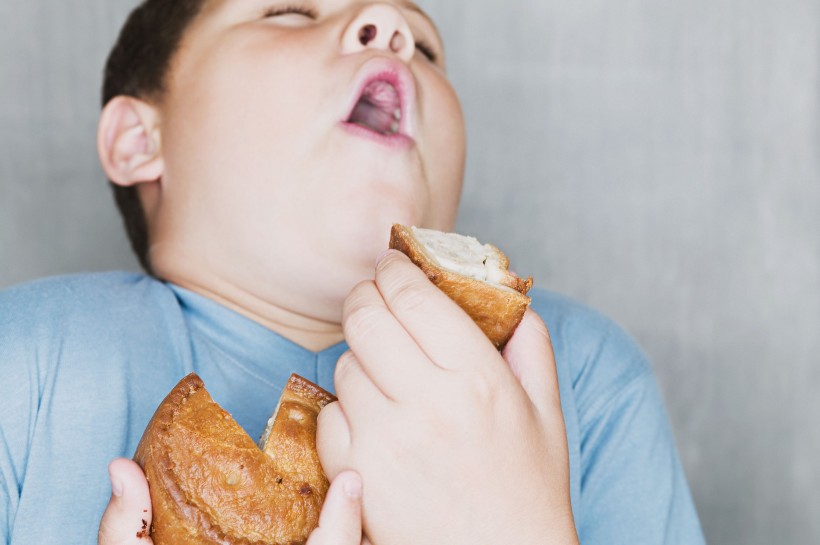 儿童饮食习惯图片