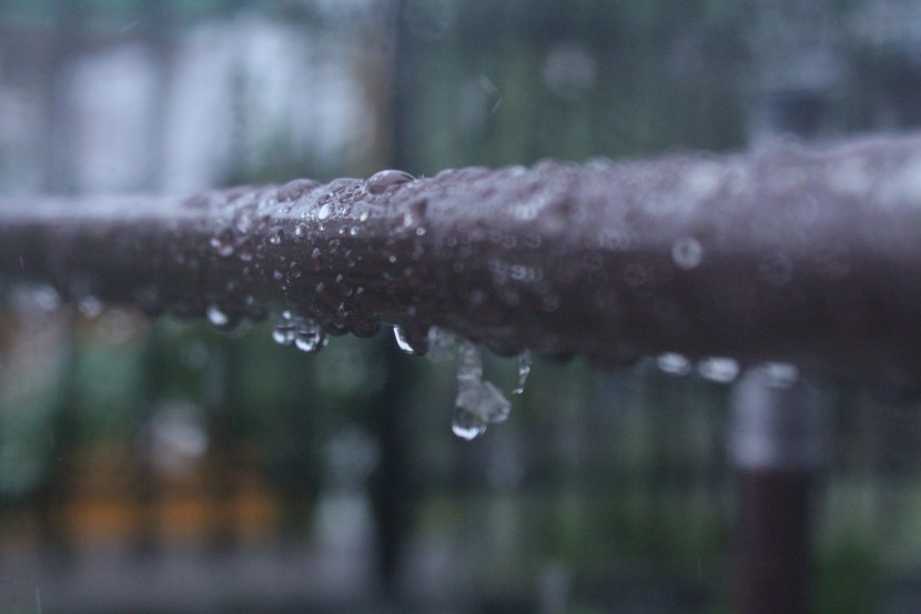 滂沱的大雨图片