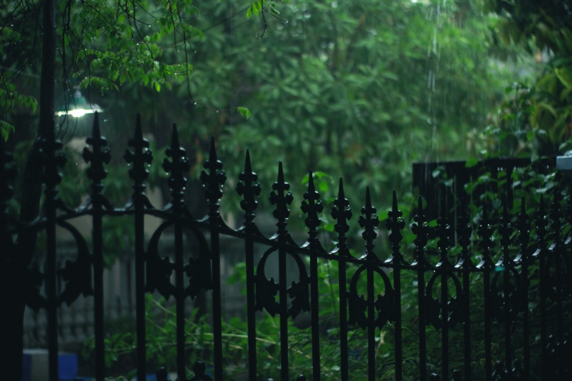 滂沱的大雨图片