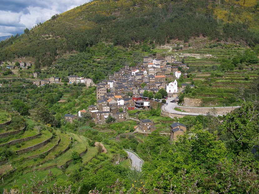 层层叠叠绿色的梯田风景图片