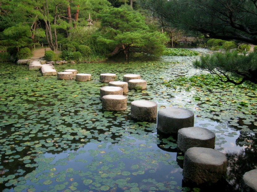 绿荫环绕的池塘图片