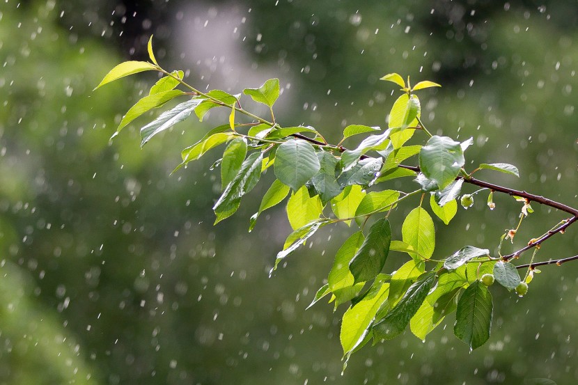 滂沱的大雨图片