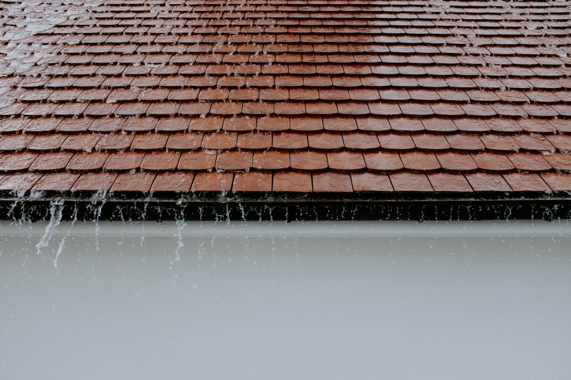 滂沱的大雨图片