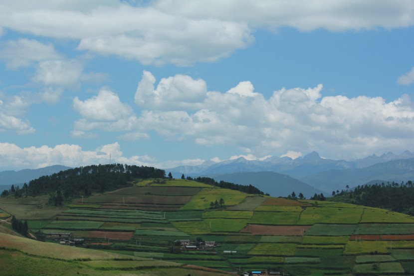 層層疊疊的梯田圖片