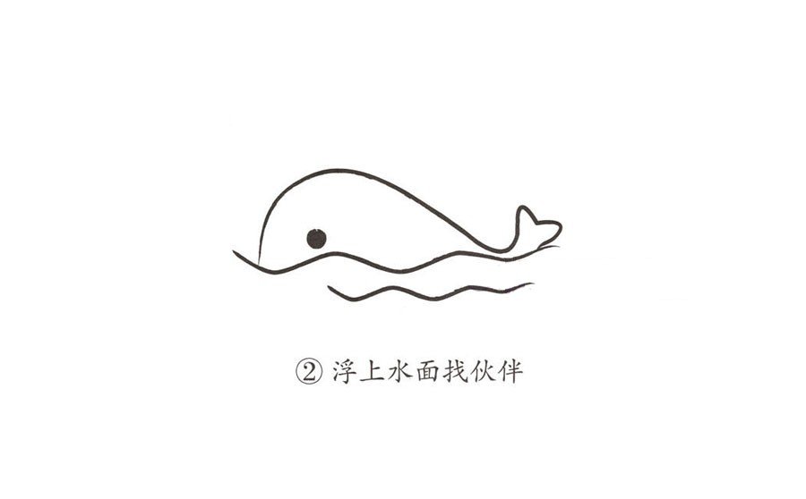 一步一步學(xué)畫海里的鯨魚