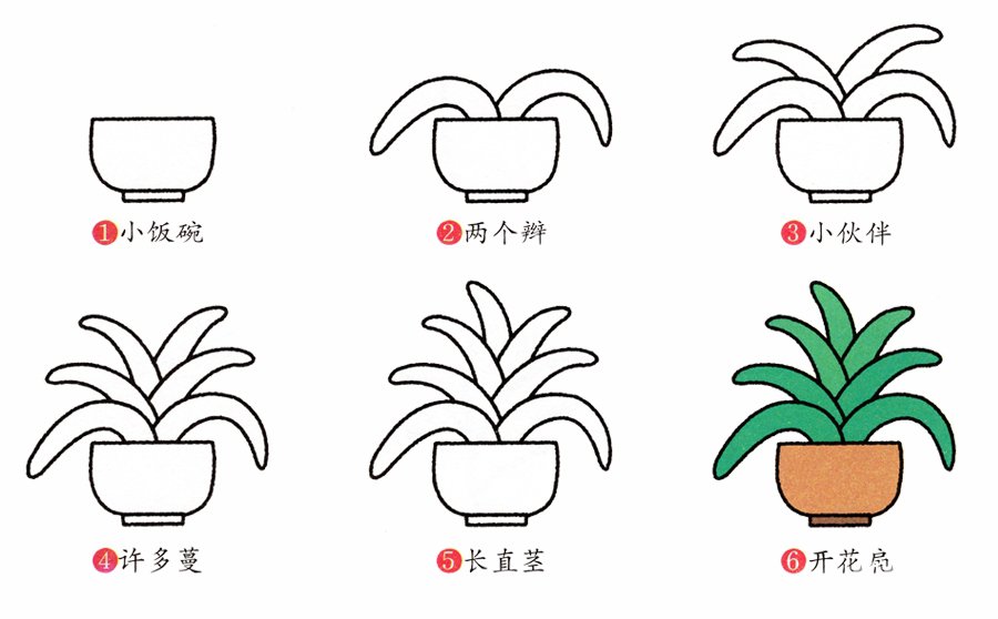 君子蘭的簡(jiǎn)筆畫畫法