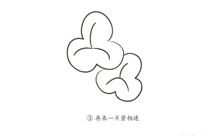 學(xué)畫三葉草