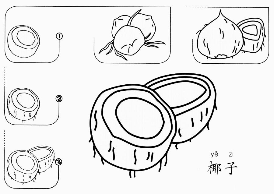 美味的椰子怎么畫