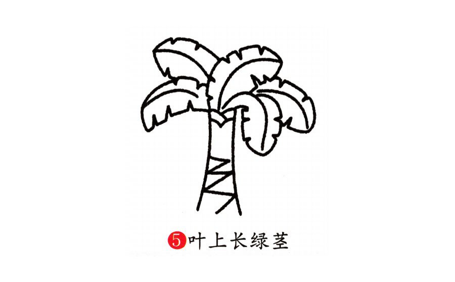 學(xué)畫芭蕉樹