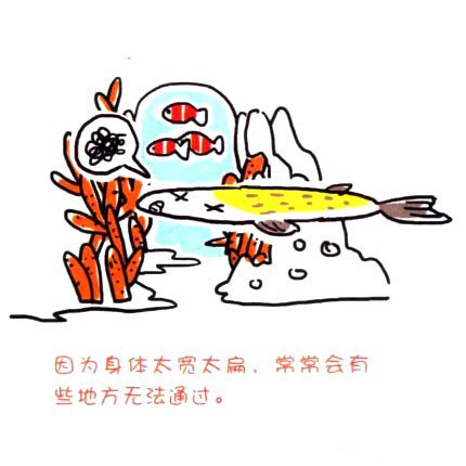 四步畫(huà)出可愛(ài)簡(jiǎn)筆畫(huà) 怪怪的左口魚(yú)