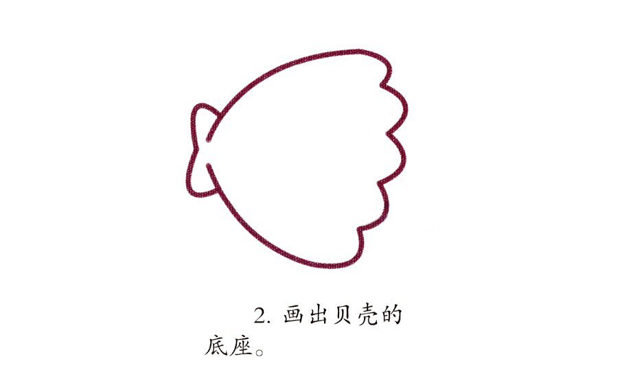 幼兒簡(jiǎn)筆畫 貝殼