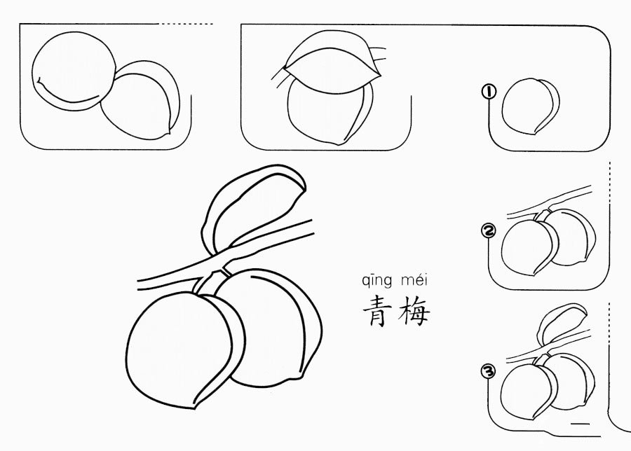 青梅怎么畫(huà)