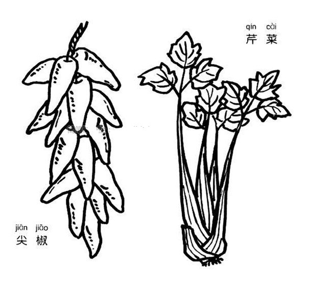 芹菜和尖椒簡(jiǎn)筆畫(huà)圖片