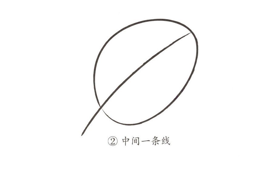 學(xué)畫簡單的樹葉