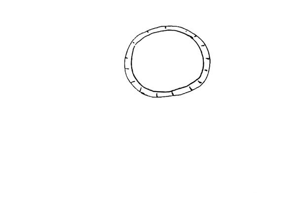 第二步：里面再畫上一個(gè)圓形，并畫上一點(diǎn)小裝飾線。