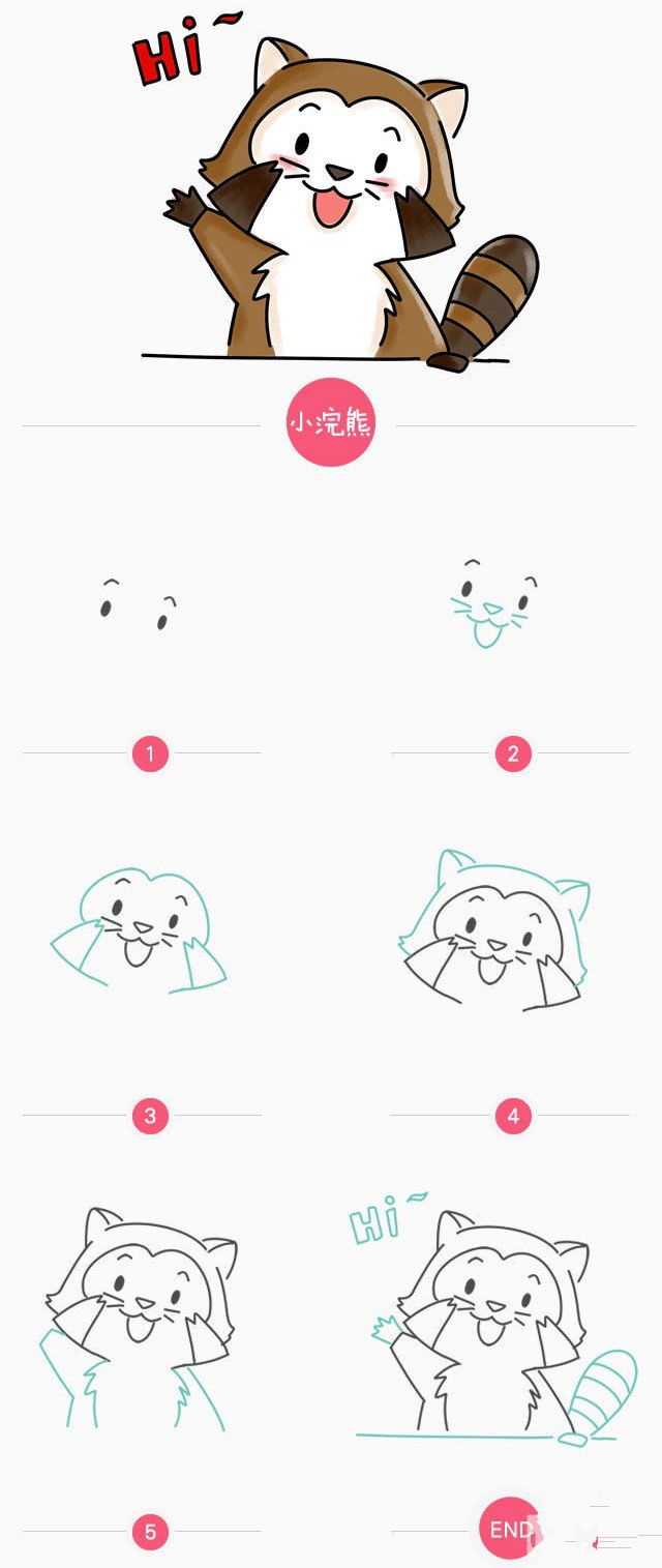 簡筆畫教程 小浣熊簡筆畫步驟